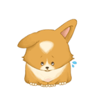 Browpy The Corgi（個別スタンプ：13）