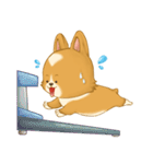 Browpy The Corgi（個別スタンプ：16）