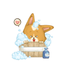 Browpy The Corgi（個別スタンプ：17）