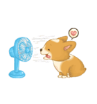 Browpy The Corgi（個別スタンプ：20）