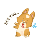 Browpy The Corgi（個別スタンプ：25）