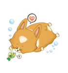 Browpy The Corgi（個別スタンプ：26）