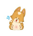 Browpy The Corgi（個別スタンプ：28）