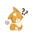 Browpy The Corgi（個別スタンプ：31）