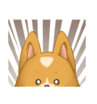 Browpy The Corgi（個別スタンプ：33）