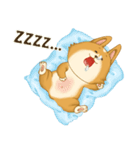 Browpy The Corgi（個別スタンプ：40）