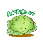 アオムシくんの家庭菜園（個別スタンプ：16）