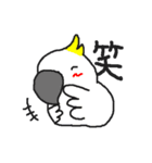 インコカフェ2（個別スタンプ：4）