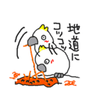 インコカフェ2（個別スタンプ：5）