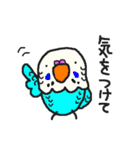 インコカフェ2（個別スタンプ：11）