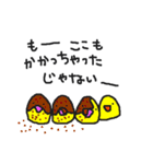 インコカフェ2（個別スタンプ：15）