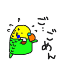 インコカフェ2（個別スタンプ：16）