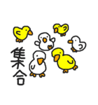 インコカフェ2（個別スタンプ：21）