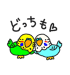 インコカフェ2（個別スタンプ：32）