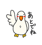 インコカフェ2（個別スタンプ：35）