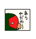 インコカフェ2（個別スタンプ：36）