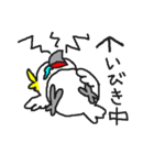 インコカフェ2（個別スタンプ：40）