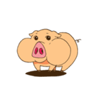 Moo-waan : The crazy pig（個別スタンプ：1）