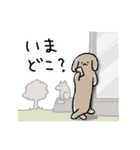 伏せ太（個別スタンプ：40）