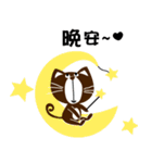 Small black cat 365 days（個別スタンプ：1）