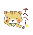 ねこにち1（個別スタンプ：19）