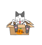 ぶちねこのらぶさん（個別スタンプ：4）