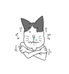 ぶちねこのらぶさん（個別スタンプ：13）