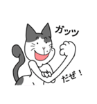 ぶちねこのらぶさん（個別スタンプ：33）