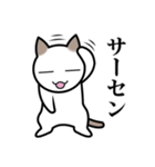 乙なねこ。（個別スタンプ：1）