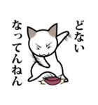 乙なねこ。（個別スタンプ：3）