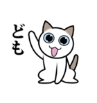 乙なねこ。（個別スタンプ：10）