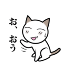 乙なねこ。（個別スタンプ：16）
