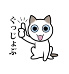 乙なねこ。（個別スタンプ：19）