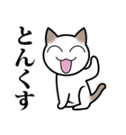 乙なねこ。（個別スタンプ：20）