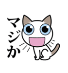 乙なねこ。（個別スタンプ：23）