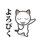 乙なねこ。（個別スタンプ：27）