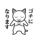 乙なねこ。（個別スタンプ：31）