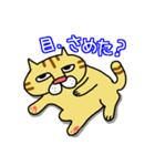 ぶさネコ トラ吉（個別スタンプ：1）