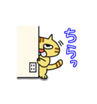 ぶさネコ トラ吉（個別スタンプ：7）