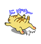 ぶさネコ トラ吉（個別スタンプ：8）