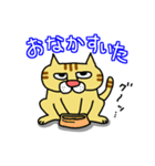 ぶさネコ トラ吉（個別スタンプ：13）