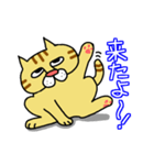 ぶさネコ トラ吉（個別スタンプ：18）