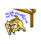 ぶさネコ トラ吉（個別スタンプ：28）