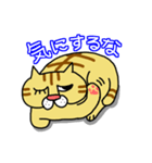 ぶさネコ トラ吉（個別スタンプ：33）