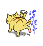 ぶさネコ トラ吉（個別スタンプ：37）
