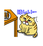 ぶさネコ トラ吉（個別スタンプ：38）