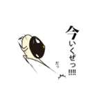貝ねこ（個別スタンプ：31）