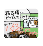 ホイきた☆芝居ネコ！（個別スタンプ：16）