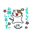 ホイきた☆芝居ネコ！（個別スタンプ：23）