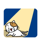 ホイきた☆芝居ネコ！（個別スタンプ：24）